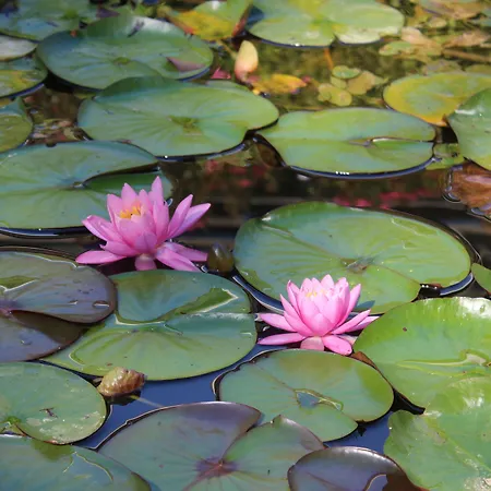 Castel De Pont-a-lesse فندق 3*