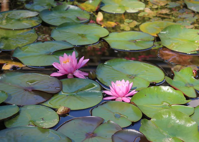 Castel De Pont-a-lesse Szálloda 3*